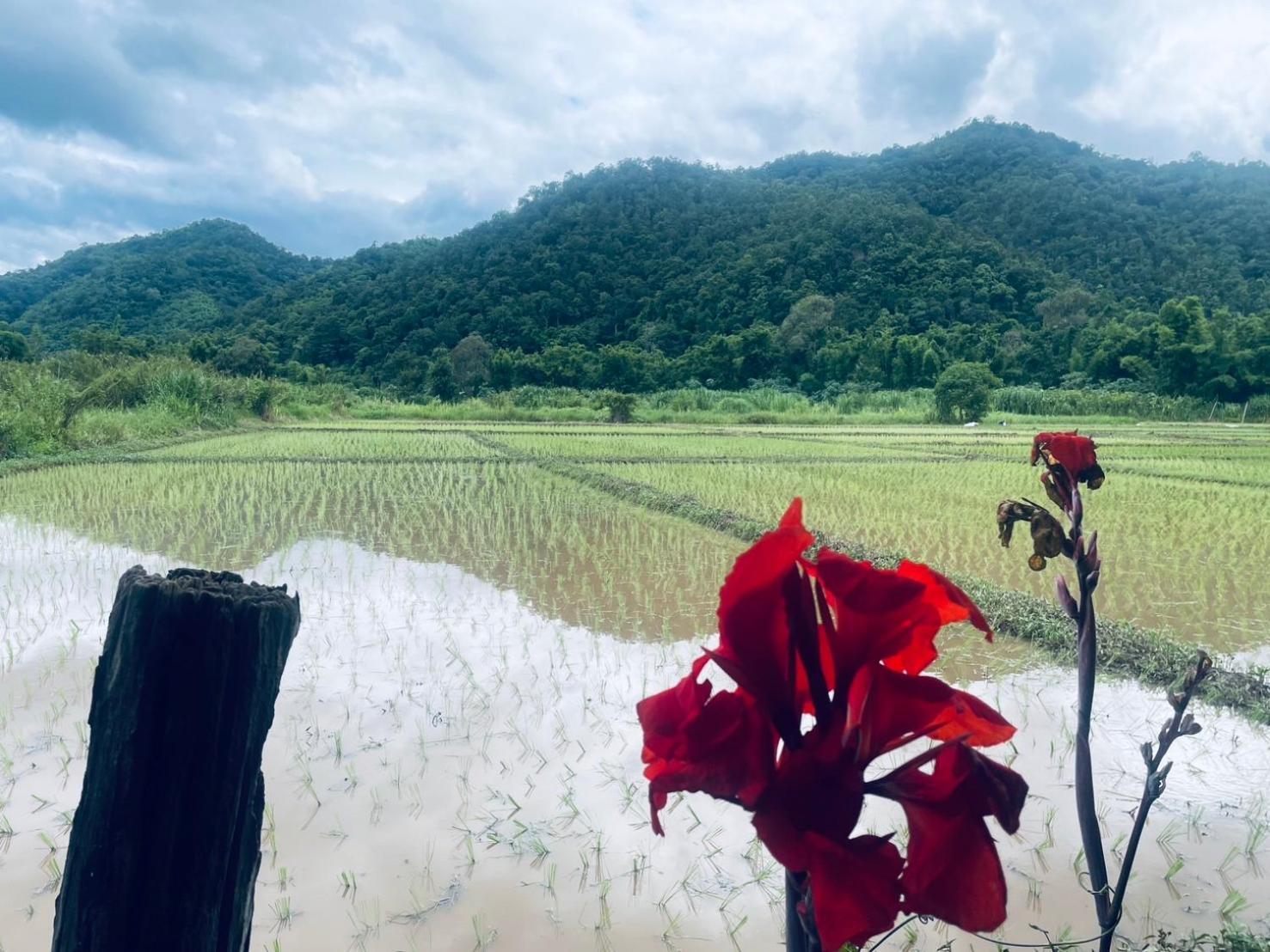 บ้านสวนวิวทุ่ง Ban Mae Sap Nua Exterior foto