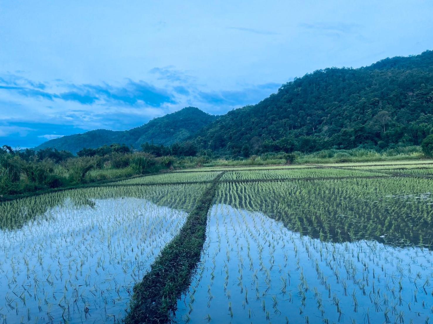 บ้านสวนวิวทุ่ง Ban Mae Sap Nua Exterior foto